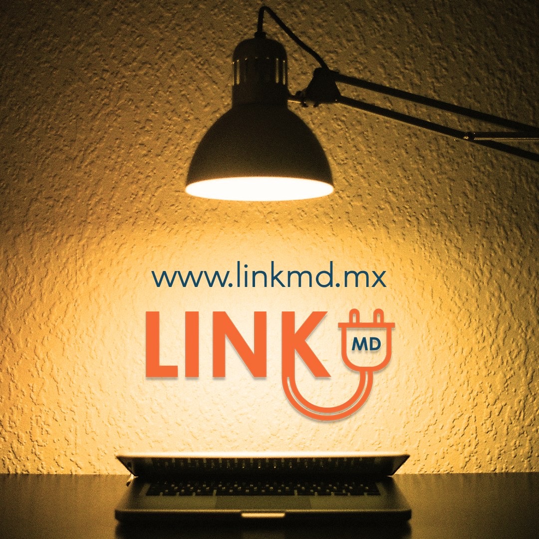 Posicionamiento Web con LinkMD